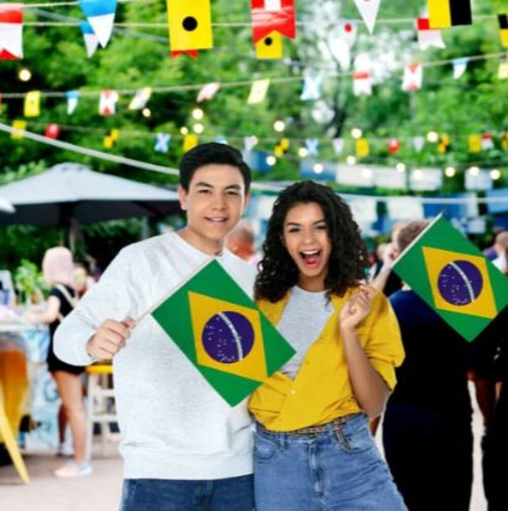 Brazil 12" x 18" Stick Flags – Perfect for Events – Sold by the Dozen - New